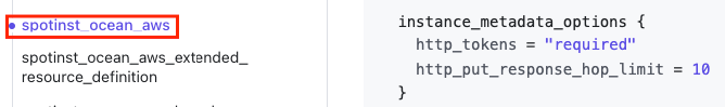 Ocean Instance Metadata terraform options